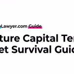 Venture Capital Term Sheet Guide